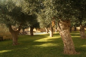 La Fiermontina I Luxury Home