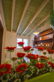 Michelangelo Bed and Breakfast