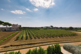 Tenuta Mose Charming House Relais