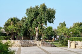 Torre Rinalda Beach Camping & Resort by Happy Camp