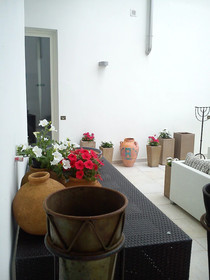 UP Room And Suite