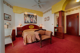 Hotel Napoleon