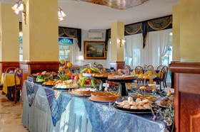 Hotel Napoleon