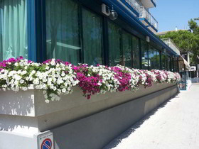 Hotel Trovatore