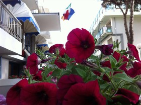 Hotel Umberto