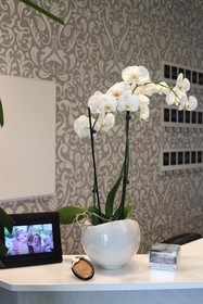 Hotel Villa Veneta