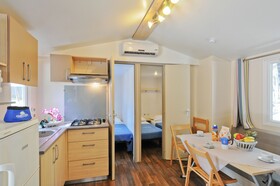 Spina Family Collection