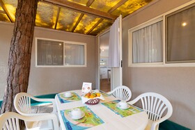 Spina Family Collection