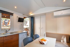 Spina Family Collection