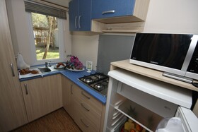 Spina Family Collection