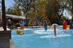 Spina Family Collection