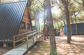 Spina Family Collection