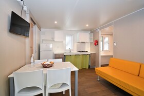 Spina Family Collection