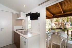 Spina Family Collection