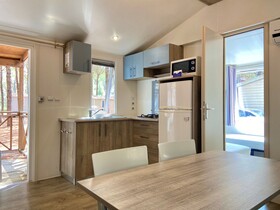 Spina Family Collection