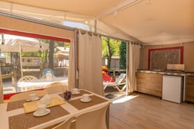 Spina Family Collection