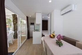 Spina Family Collection