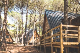 Spina Family Collection