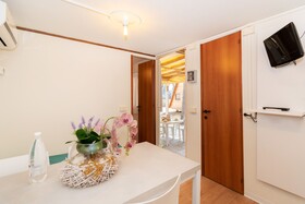 Spina Family Collection