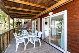 Spina Family Collection