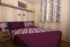 Spina Family Collection