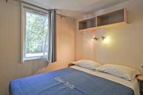 Spina Family Collection