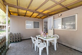 Spina Family Collection