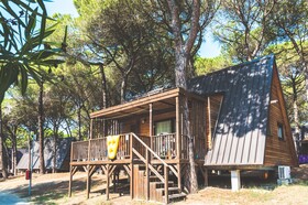 Spina Family Collection