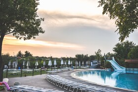 Spina Family Collection