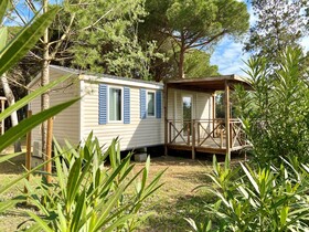 Spina Family Collection