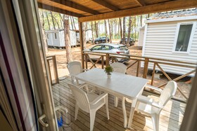 Spina Family Collection