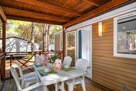 Spina Family Collection