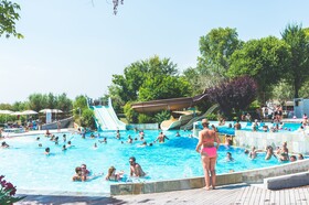 Spina Family Collection