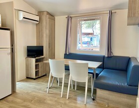 Spina Family Collection