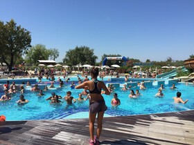 Spina Family Collection