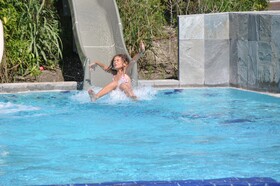 Spina Family Collection