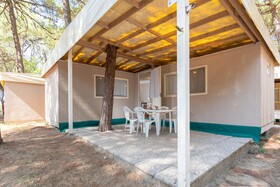 Spina Family Collection