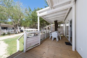 Spina Family Collection