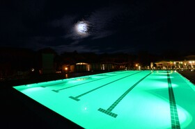 Spina Family Collection