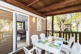 Spina Family Collection