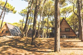 Spina Family Collection