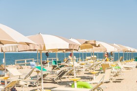 Spina Family Collection