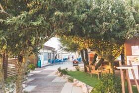 Spina Family Collection