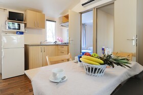 Spina Family Collection