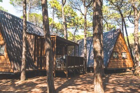 Spina Family Collection