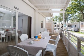 Spina Family Collection