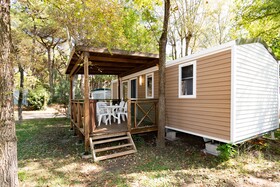 Spina Family Collection