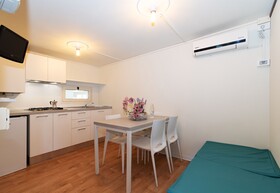 Spina Family Collection