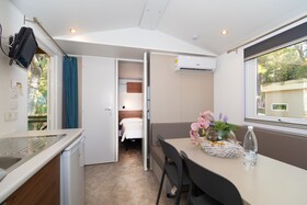 Spina Family Collection