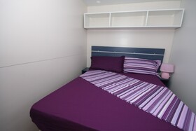 Spina Family Collection